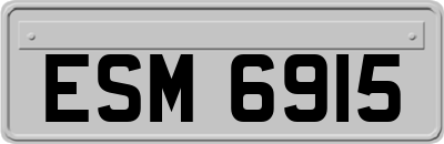 ESM6915