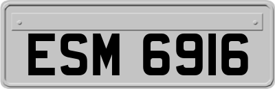 ESM6916