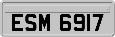 ESM6917