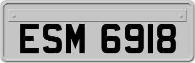 ESM6918