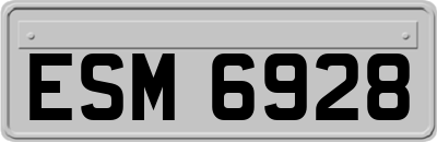 ESM6928