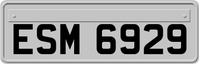ESM6929