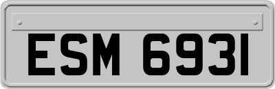 ESM6931