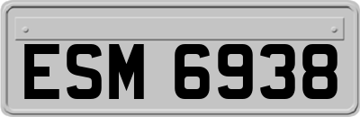 ESM6938