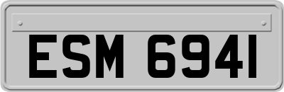 ESM6941