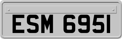 ESM6951