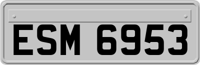 ESM6953