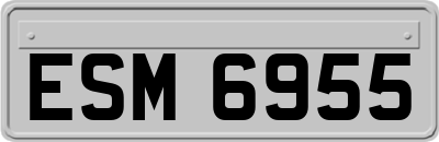 ESM6955