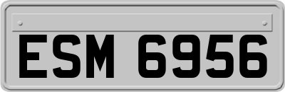 ESM6956