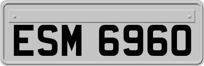 ESM6960
