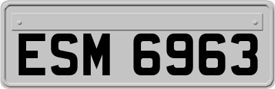 ESM6963