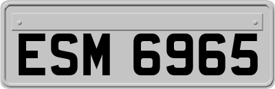 ESM6965
