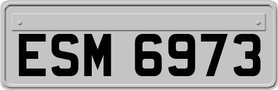 ESM6973