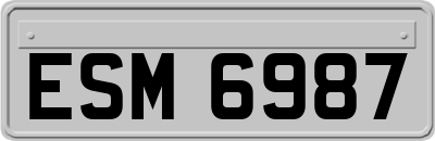 ESM6987