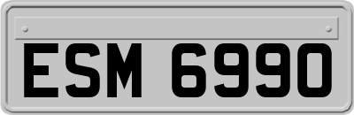 ESM6990