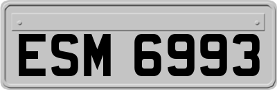 ESM6993