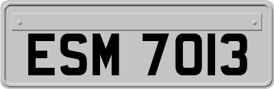 ESM7013