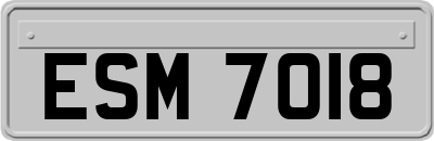 ESM7018