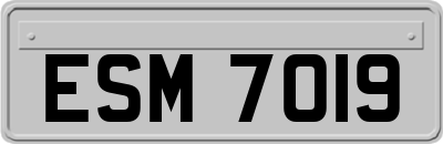 ESM7019