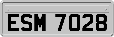 ESM7028
