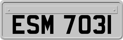 ESM7031