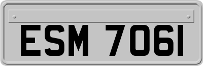 ESM7061