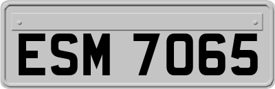 ESM7065