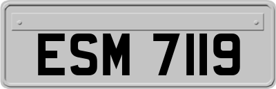 ESM7119
