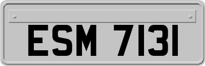 ESM7131