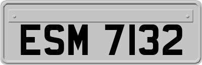 ESM7132