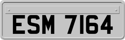 ESM7164