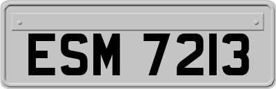 ESM7213