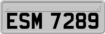 ESM7289