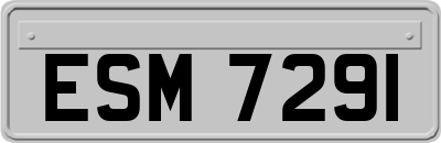 ESM7291