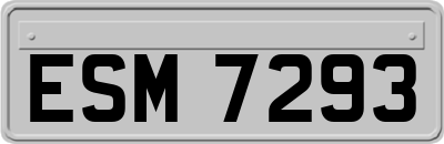 ESM7293