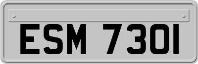 ESM7301