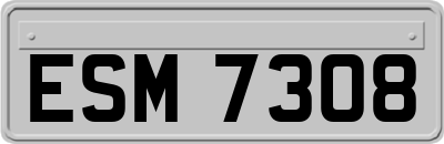 ESM7308