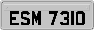 ESM7310