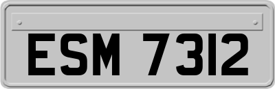 ESM7312