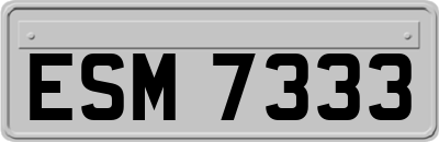 ESM7333