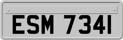 ESM7341