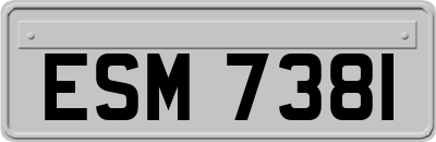 ESM7381