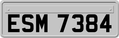 ESM7384