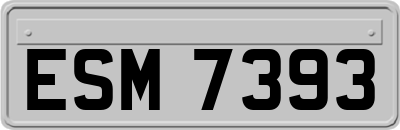 ESM7393