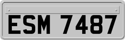 ESM7487