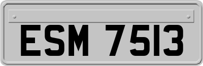 ESM7513