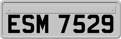 ESM7529