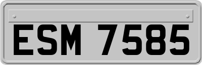 ESM7585