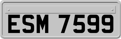 ESM7599