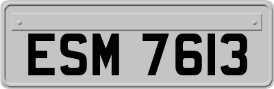 ESM7613